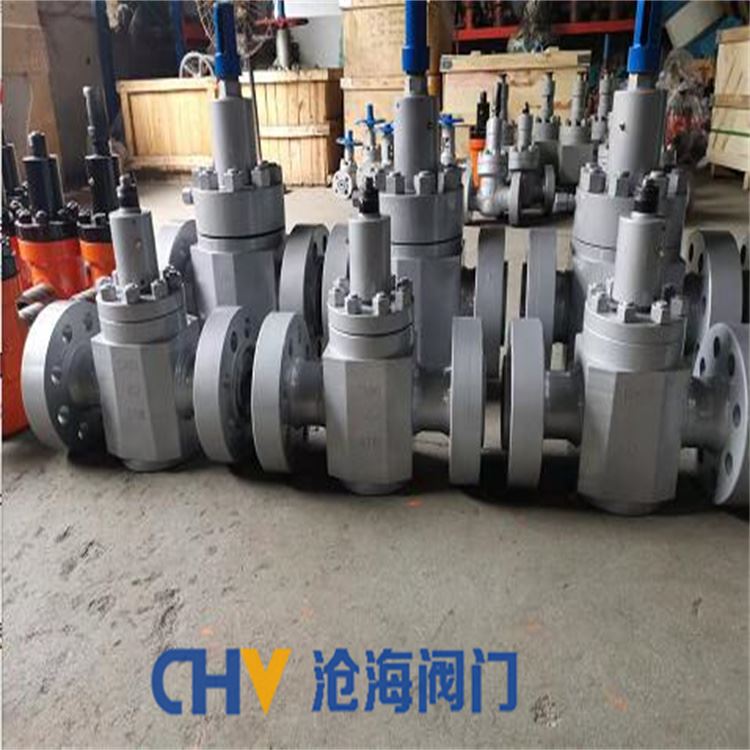 ZF43Y-420高压锻钢硬密封平行式闸阀